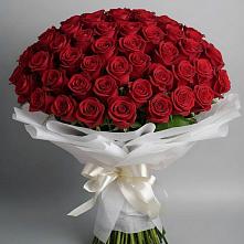 Букет 101 Красная роза Блэк Мэджик в Старомарьевке