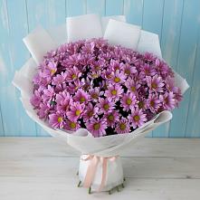 Букет цветов из:  Хризантемы в Старомарьевке