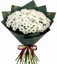 Букет цветов из:  Хризантемы в Старомарьевке