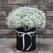 Цветочная композиция из Гипсофила в шляпной коробке в Старомарьевке