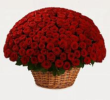 Премиум букет из: Розы в Старомарьевке